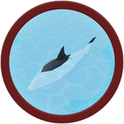 Shark Bait badge