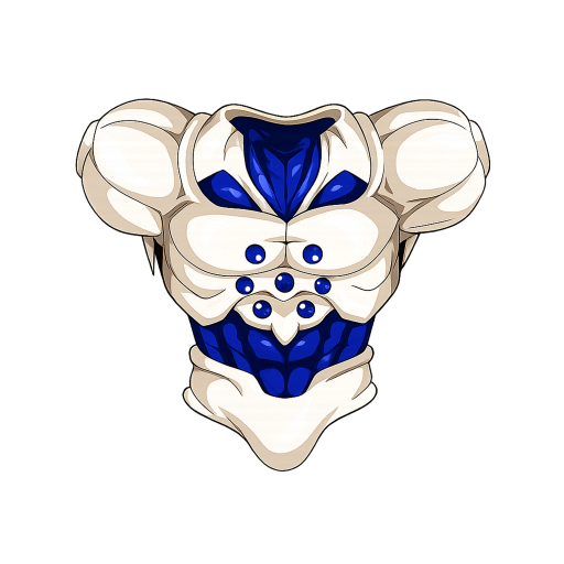 Omega Chest