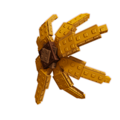 Sunflower Fruit