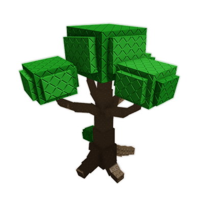 Acorn Plant