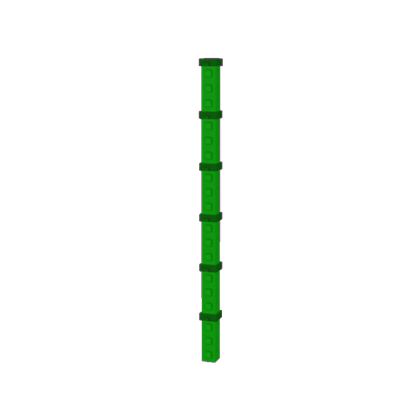 Bamboo Plant