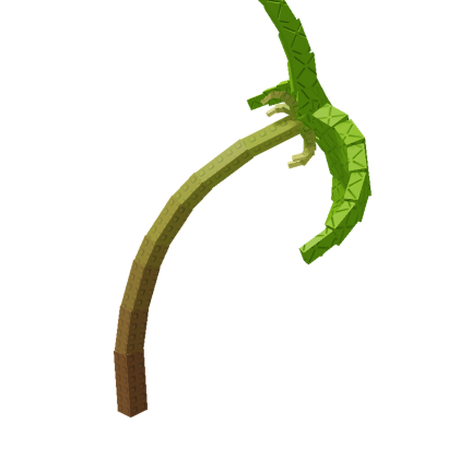 Banana Plant