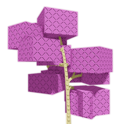 Cherry Plant