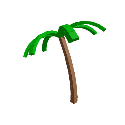 Coconut Plant