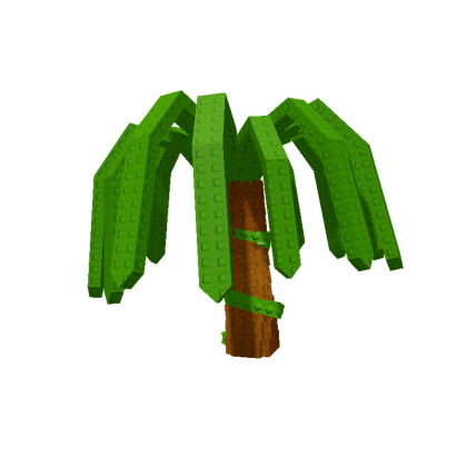 Dragon Fruit Plant