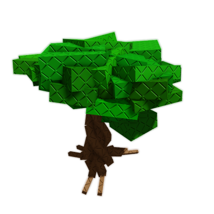 Pomegranate Plant