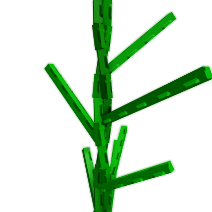 Tomato Plant