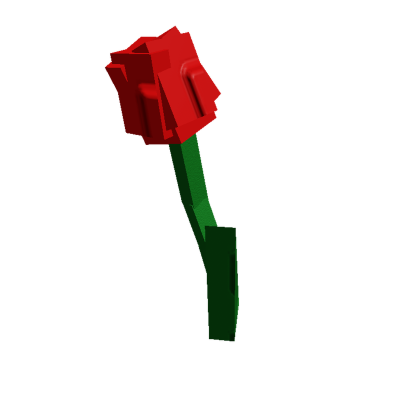 Tulip Plant
