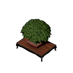 Bonsai