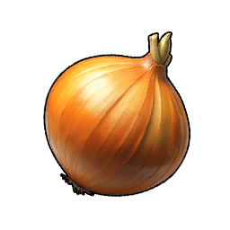 Zwiebel