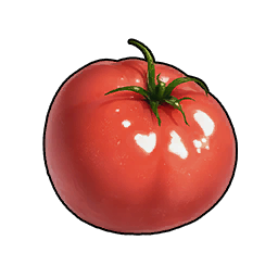 Tomate