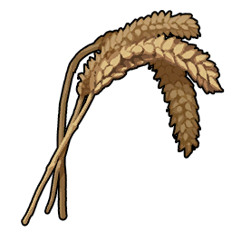 Trigo